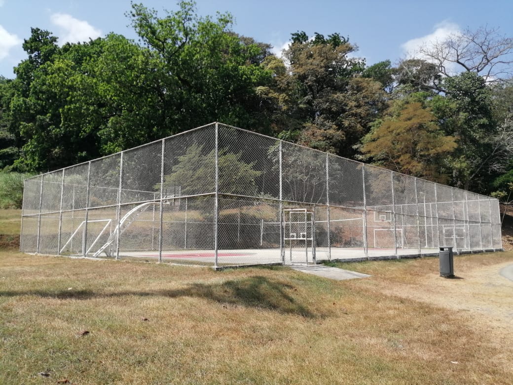Deportes | Universidad Tecnológica de Panamá